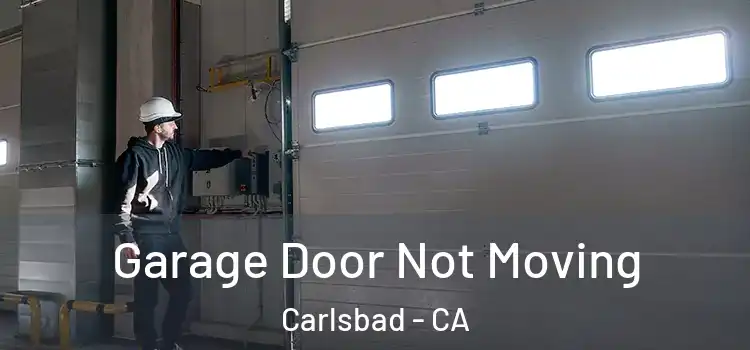  Garage Door Not Moving Carlsbad - CA