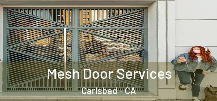 Mesh Door Services Carlsbad - CA